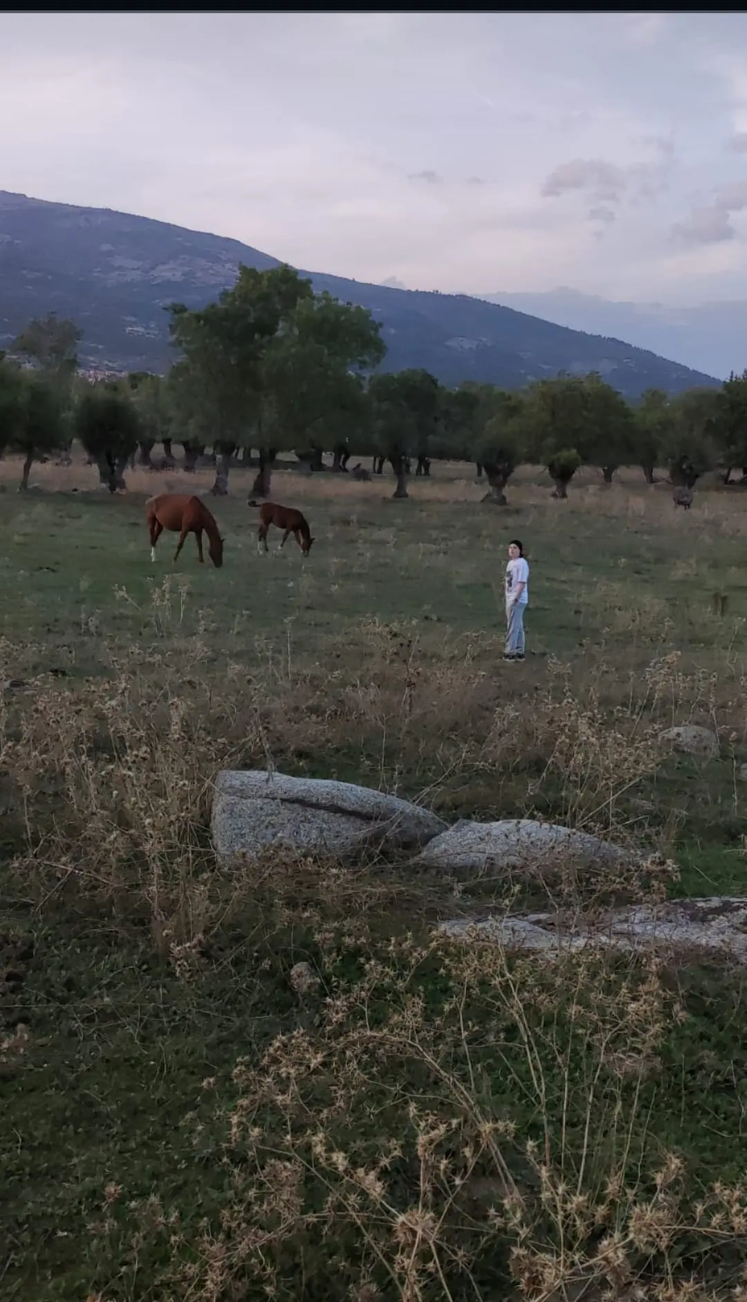 Marian en su viaje de recuperación