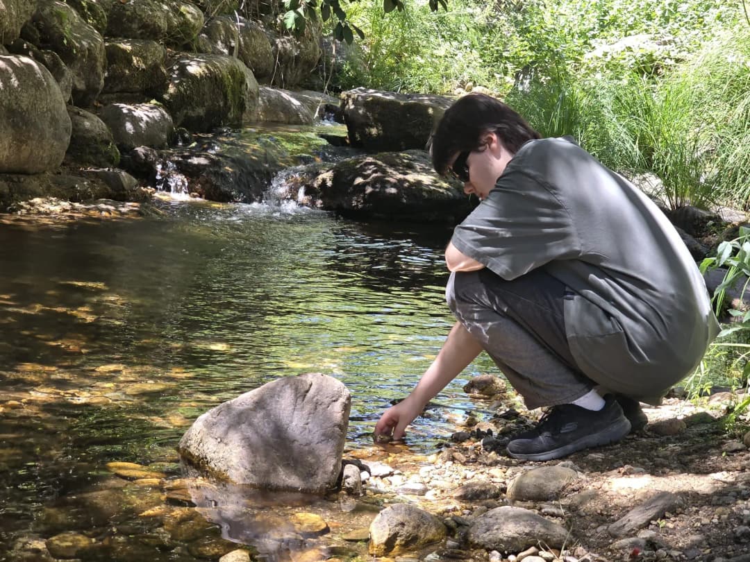 Pet nutrition consultation